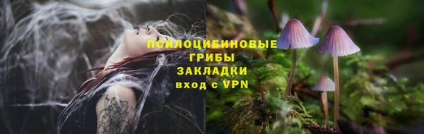 spice Михайловка