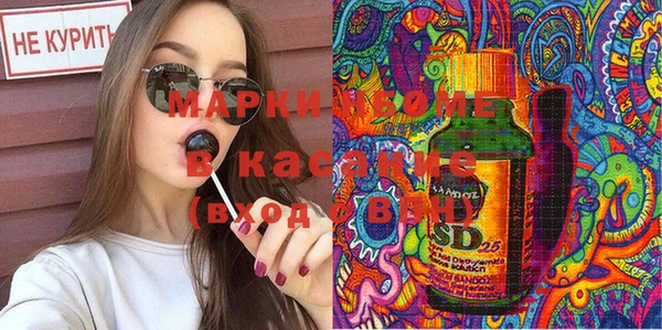 твердый Михайлов