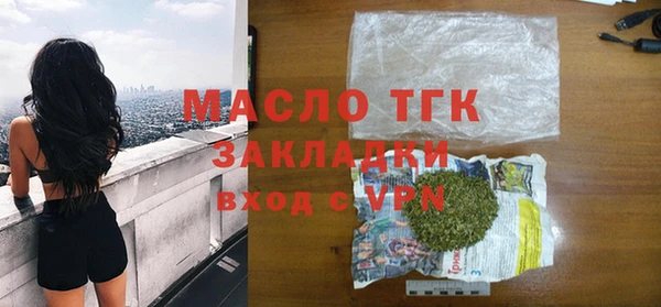 твердый Михайлов