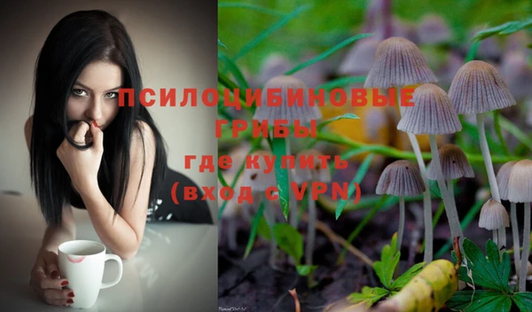 мет Мегион