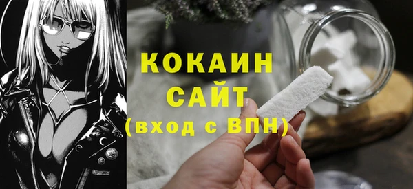 твердый Михайлов