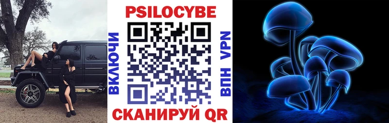 Купить где Княгинино Галлюциногенные грибы Cubensis